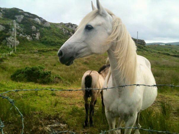 House Boutique - Connemara * Kylemore